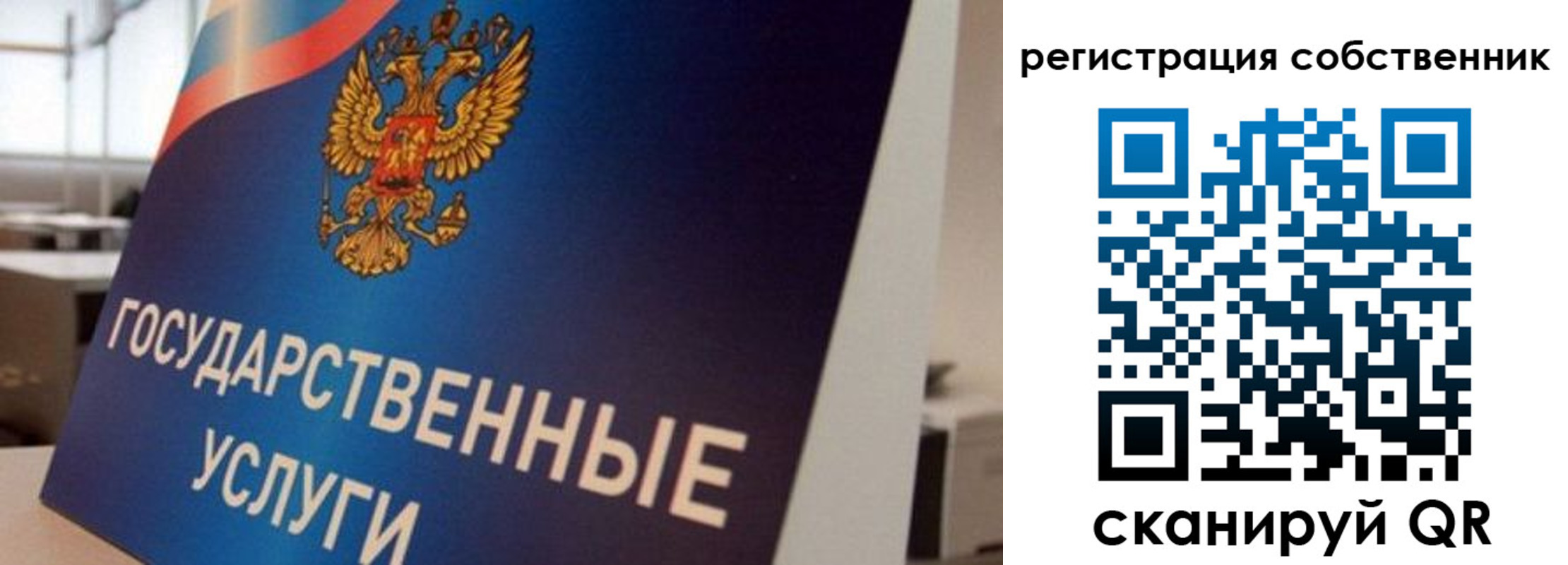временная регистрация купить в Светлом